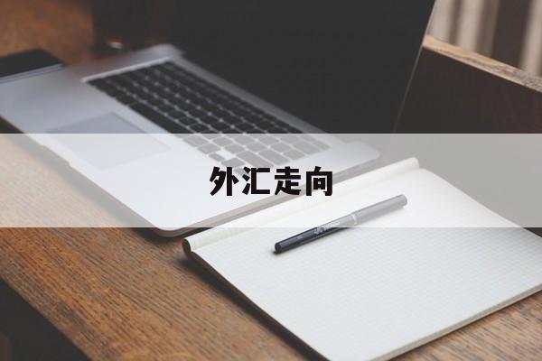 外汇走向(外汇走向图)