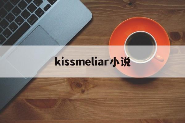 kissmeliar小说(kiss me, liar chapter)