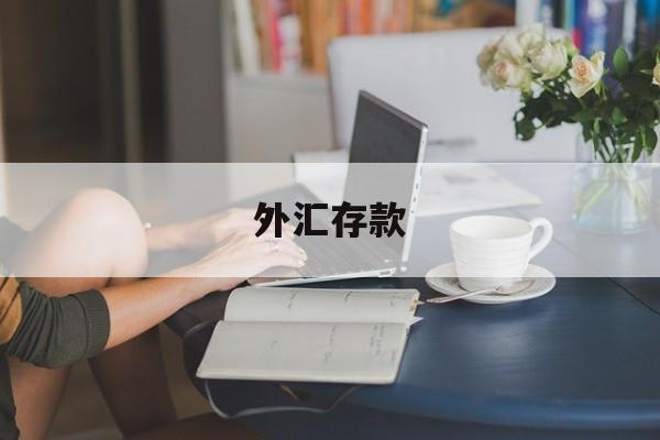 外汇存款(外汇存款是什么意思)